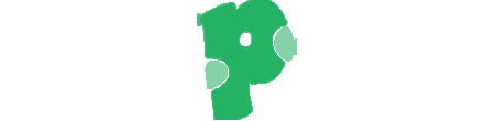 PakSurf Logo