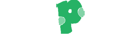 Paksurf Logo