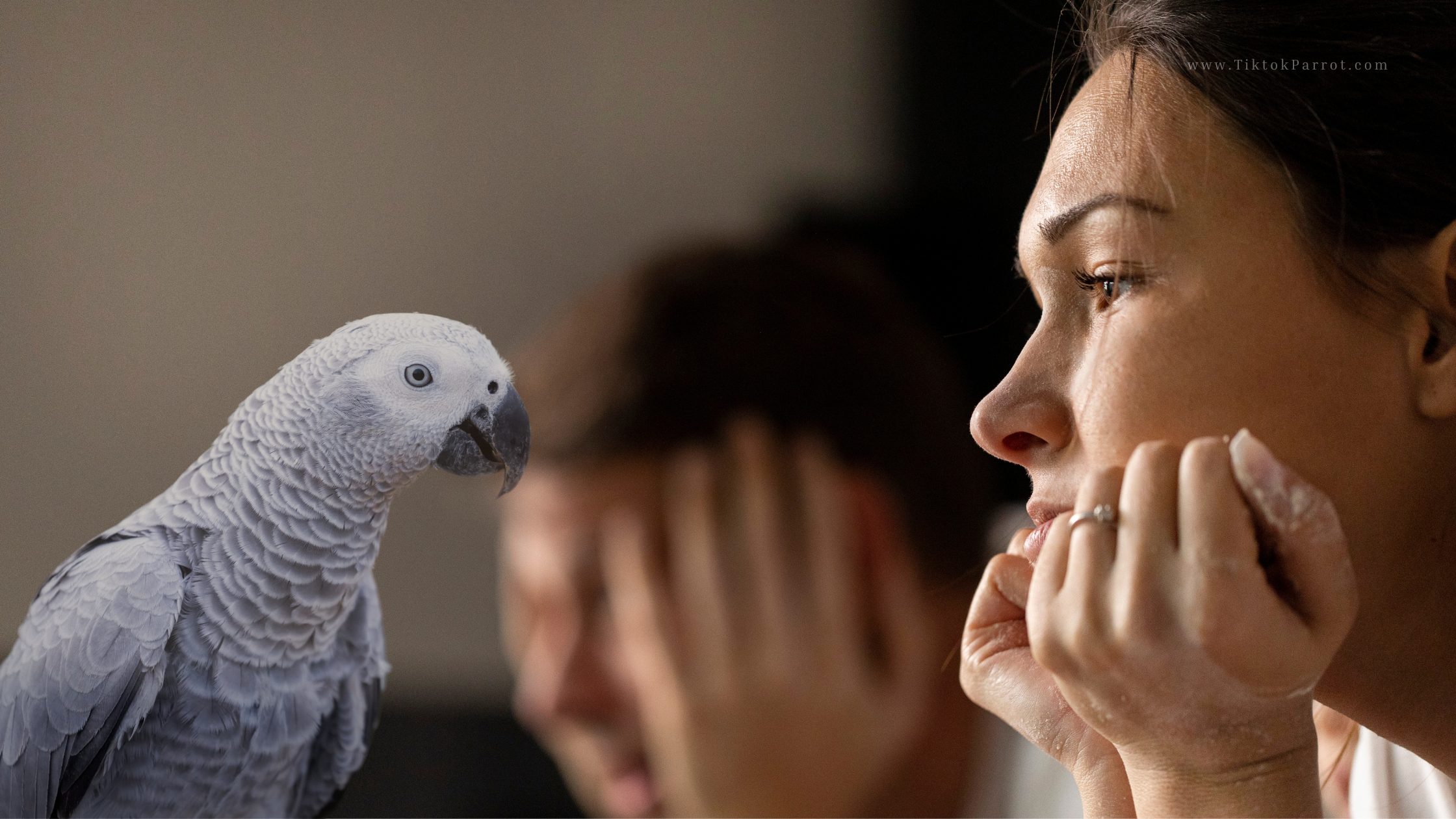 How to Change an African Grey’s One-Person Bond | Build Trust with Your Parrot