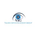 Valdes Investigation Group Profile Picture